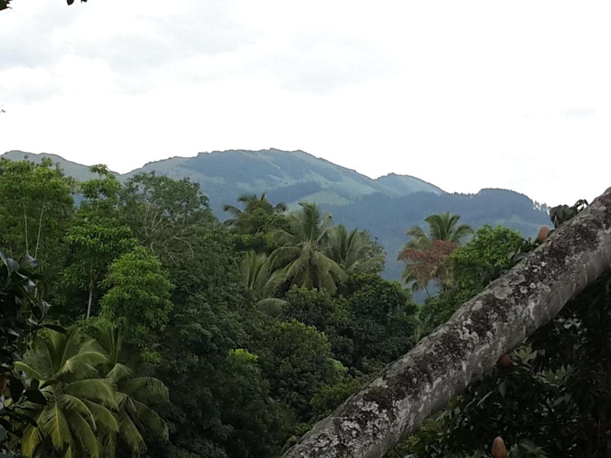 Hanthana View Peradeniya Exterior foto